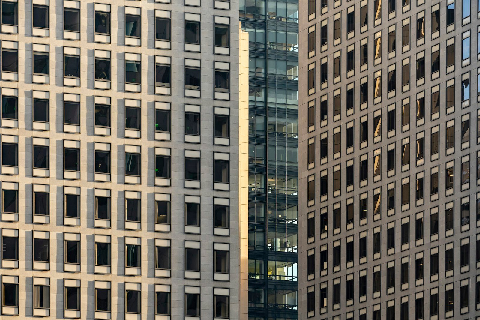 Decorative and privacy glass film — example 1 — TOOQ